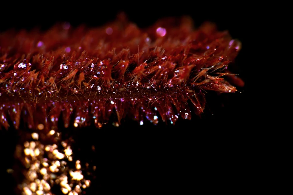 Abilleira Photography Cosmética Sombras Ojos Liquidas Shimmer Glitter Macro Maquillaje Foto Imagen Corazona Abilleira Photography Cosmética Sombras Ojos Liquidas Shimmer Glitter Macro Maquillaje Foto Imagen Corazona