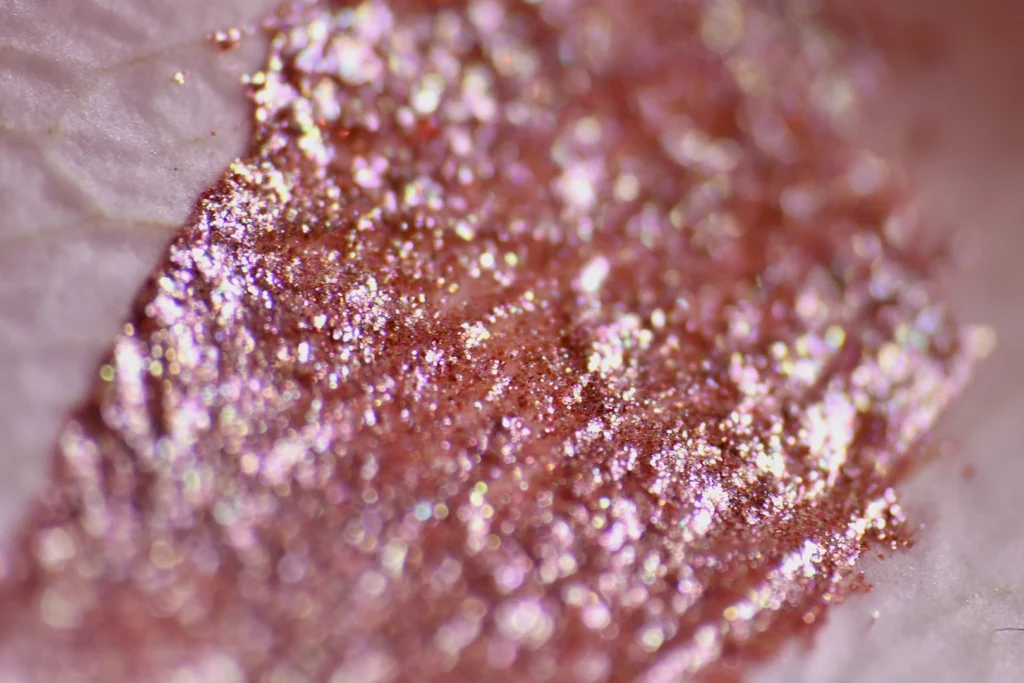 Abilleira Photography Prop pétalos de flores Shimmer luz imágen fotógrafa UGC Beauty Cosmética Maquillaje Macro Brillos