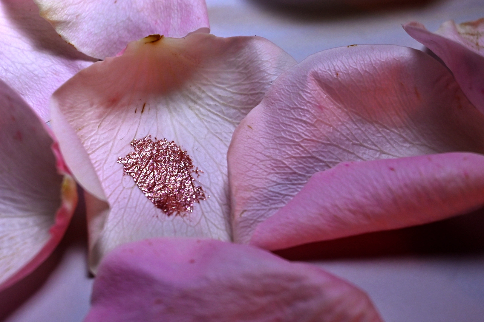 Abilleira Photography Prop pétalos de flores Shimmer luz imágen fotógrafa UGC Beauty Cosmética Maquillaje